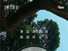 暑意渐消退 秋韵传家音 | 壹江天玺8月生活家书